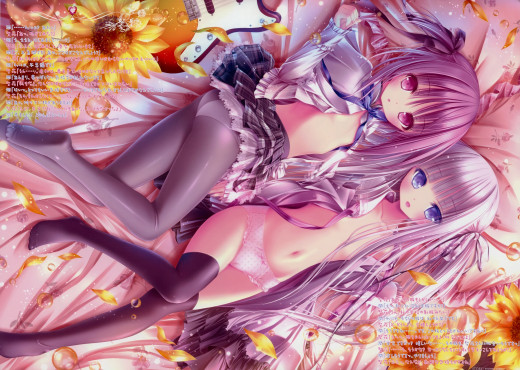 1012564 (a): :3500x2485